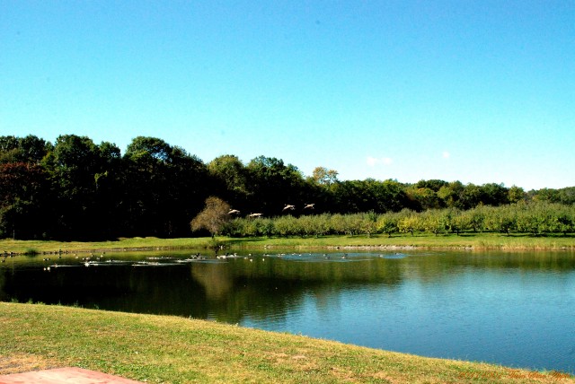 01e8df14bd45b972b1d3681f20e68526_1507258